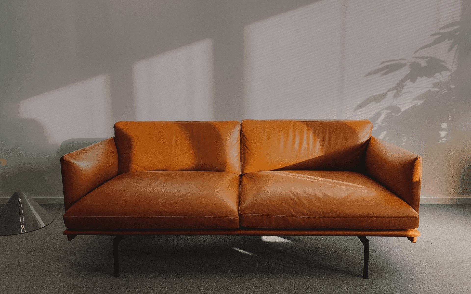 Interior Designer